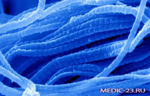 Желатин вред. Желатин: польза и вред для здоровья, состав и применение продукта