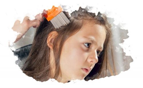 Лучшее средство для восстановления хрящевой ткани суставов. Препараты для восстановления хрящевой ткани 04