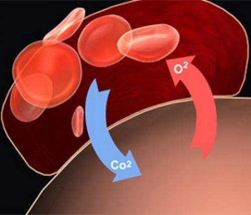 Лечение суставов озокеритом. Использование Озокерита для суставов и отзывы о результатах