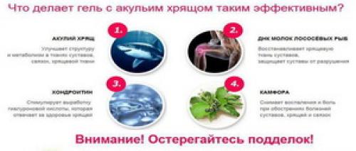 Лучшее средство для восстановления хрящевой ткани суставов. Препараты для восстановления хрящевой ткани 03