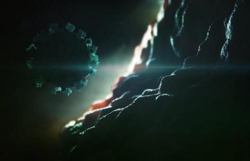 Кто разрабатывает вакцину от коронавируса и когда ее ждать. Вирусолог уточнил сроки создания вакцины от коронавируса 02 Кто разрабатывает вакцину от коронавируса и когда ее ждать. Вирусолог уточнил сроки создания вакцины от коронавируса 02