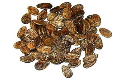 Большие косточки в арбузе. Полезный состав