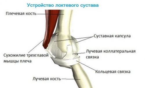 Болит локоть когда ставлю на стол. Болит локоть поднятии тяжести и других нагрузках: причина и что делать?