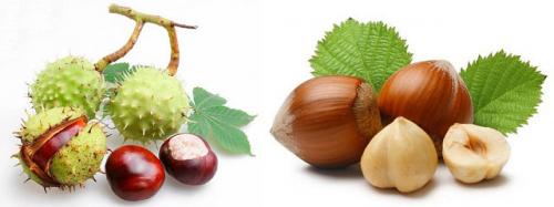 Противовоспалительные народные средства для суставов. Подборка рецептов с травами для лечения суставов