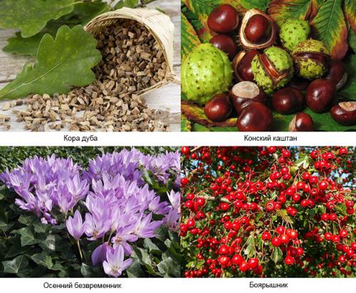 Противовоспалительные народные средства для суставов. Подборка рецептов с травами для лечения суставов