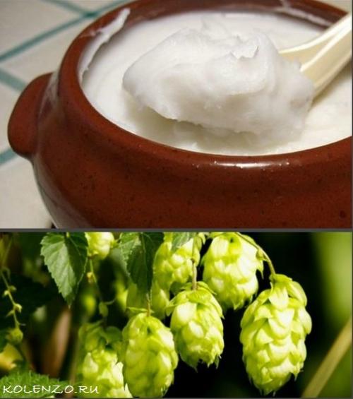 Лечение коленного сустава народными средствами. Народные средства от артроза колена: эффективные рецепты