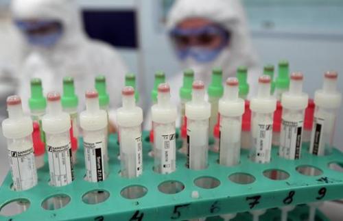 Коронавирус 2019-nCoV и COVID-19. Примерно 15% кошек, которые живут в китайской Ухани, оказались заражены коронавирусной инфекцией. 02