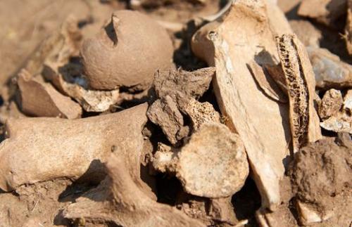 Ученые назвали причину быстрого распространения коронавируса 02 Ученые назвали причину быстрого распространения коронавируса 02