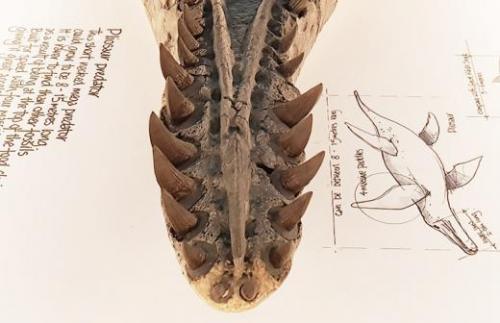 Ученые назвали причину быстрого распространения коронавируса 01 Ученые назвали причину быстрого распространения коронавируса 01