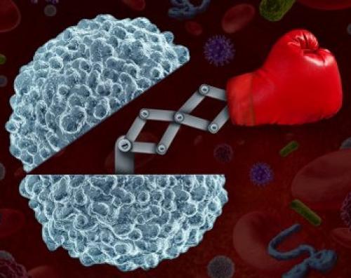 Как правильно установить Витафон. Области воздействия и места установки виброфонов