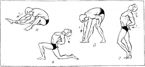 Упражнения для развития гибкости