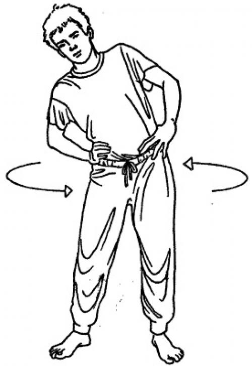 Упражнения для таза и тазобедренных суставов. Суть и базовые принципы