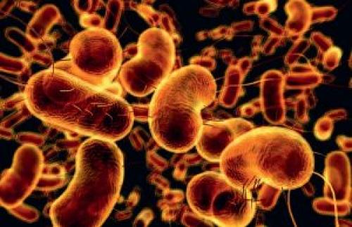 Синовит у ребенка. Детский синовит