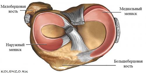 Защемление мениска симптомы. Медиальный мениск коленного сустава лечение