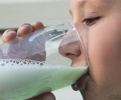 Почему нельзя кипятить молоко. Міфи про молоко: чому молоко не можна кип’ятити, та чи додають в нього “порошки”