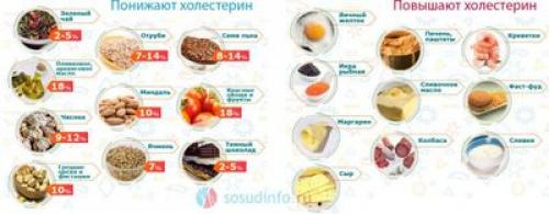 Диета при повышенном холестерине. Лечебно-профилактическая диета при высоком холестерине 05
