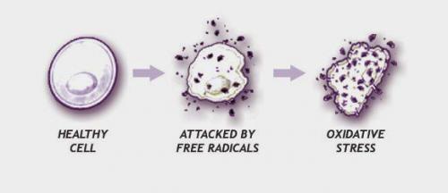 Причины преждевременного старения кожи лица. Определение болезни. Причины заболевания 02