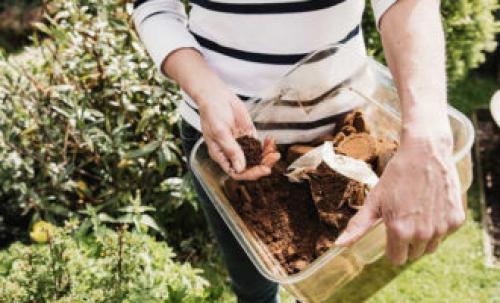 Кофейная гуща, как удобрение отзыв. Кофейная гуща в качестве удобрения на огороде