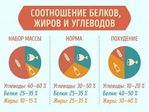 Как совместить питание и тренировки для похудения за неделю на 5 кг. Изменение соотношения БЖУ