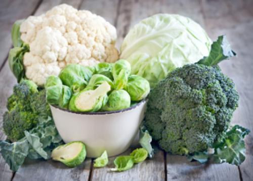 Какие специи и приправы можно использовать при молочнице. Разрешенные продукты