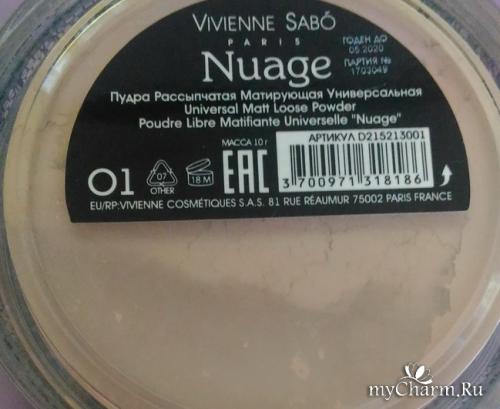 Как пользоваться рассыпчатой пудрой с дырочками. 10 секретов нанесения рассыпчатой пудры