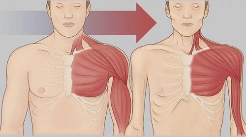 Как меняется вес при стрессе. Ожирение у женщин связано со стрессами 04 Как меняется вес при стрессе. Ожирение у женщин связано со стрессами 04
