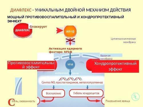 Глюкозамин хондроитин, какой лучше. Сверхприбыль фармацевтических компаний или реальная польза для суставов?