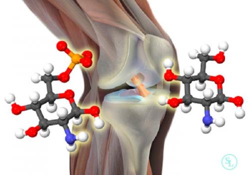 Глюкозамин хондроитин, какой лучше. Сверхприбыль фармацевтических компаний или реальная польза для суставов?