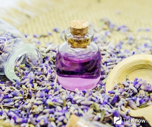 Устранение морщин на лице с помощью масла лаванды: эффективный и натуральный метод 02 Устранение морщин на лице с помощью масла лаванды: эффективный и натуральный метод 02