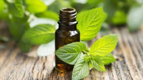 Какие эфирные масла наиболее эффективны для борьбы с морщинами и усами. Какие эфиры наиболее эффективны против морщин