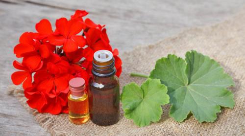 Можно ли использовать масло для устранения глубоких морщин на лице при наличии других кожных проблем. Топ-5 эфирных масел