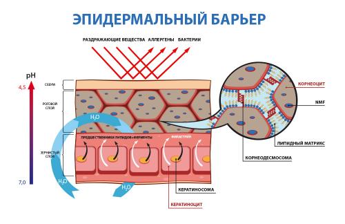 Топ-5 масок пилинг для глубокого очищения пор: какие выбрать 03