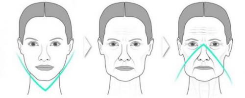 Можно ли использовать масло для кожи вокруг глаз на остальной коже лица. Почему стареет кожа лица и можно ли с помощью масел вернуть молодость