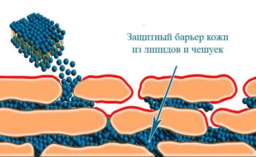 Масло против морщин: лучшие варианты для вашей кожи 03 Масло против морщин: лучшие варианты для вашей кожи 03