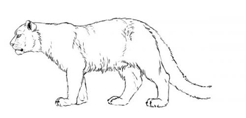 Очищай кожу эффективно: 27 лучших масок для разных типов кожи 05 Очищай кожу эффективно: 27 лучших масок для разных типов кожи 05