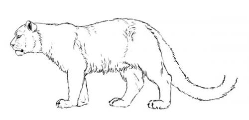 Очищай кожу эффективно: 27 лучших масок для разных типов кожи 06 Очищай кожу эффективно: 27 лучших масок для разных типов кожи 06