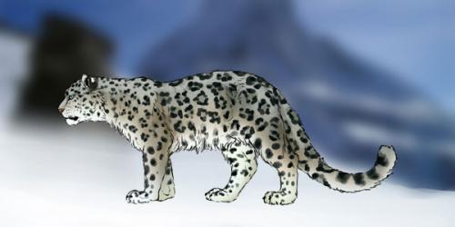 Очищай кожу эффективно: 27 лучших масок для разных типов кожи 07 Очищай кожу эффективно: 27 лучших масок для разных типов кожи 07