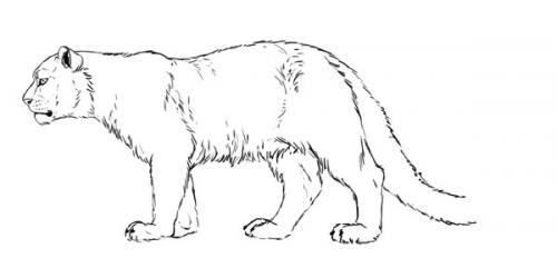 Очищай кожу эффективно: 27 лучших масок для разных типов кожи 03 Очищай кожу эффективно: 27 лучших масок для разных типов кожи 03