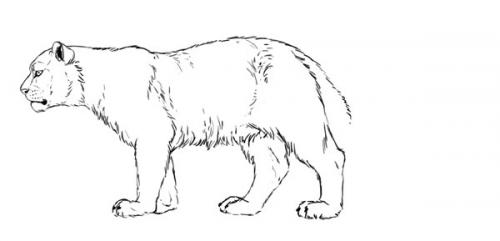 Очищай кожу эффективно: 27 лучших масок для разных типов кожи 04 Очищай кожу эффективно: 27 лучших масок для разных типов кожи 04