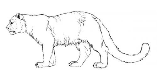 Очищай кожу эффективно: 27 лучших масок для разных типов кожи 02 Очищай кожу эффективно: 27 лучших масок для разных типов кожи 02