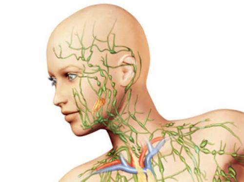 Японский массаж лица асахи (Зоган): видео, техника массажа, отзывы (12 приемов массажа для молодости и красоты)