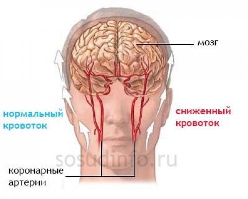 Лечебный массаж нижних конечностей. Массаж стоп и голеней 02 Лечебный массаж нижних конечностей. Массаж стоп и голеней 02