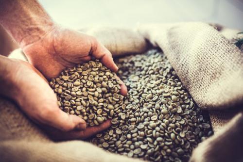 Маска для лица с зеленым кофе. Экстракт зеленого кофе в косметике: все об ингредиенте