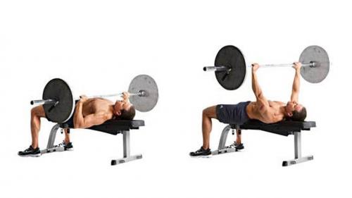 Как укрепить связки рук для армрестлинга. Какие упражнения нужны для армрестлинга