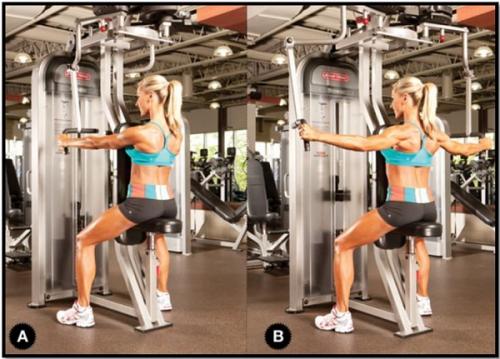 Программа тренировок для девушек в тренажерном зале для похудения с картинками. Программа упражнений в тренажерном зале для девушек для похудения и накачки мышц