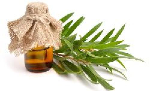 Самое полезное растительное масло. 5 наиболее полезных видов