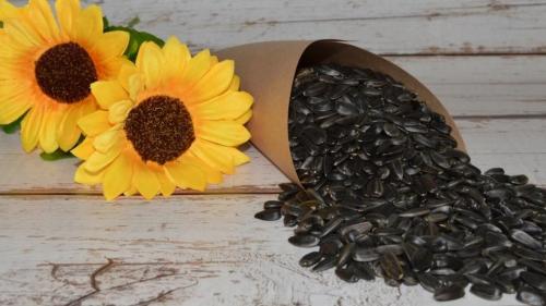 Нерафинированное подсолнечное масло. Масло рафинированное и нерафинированное. В чем отличие?