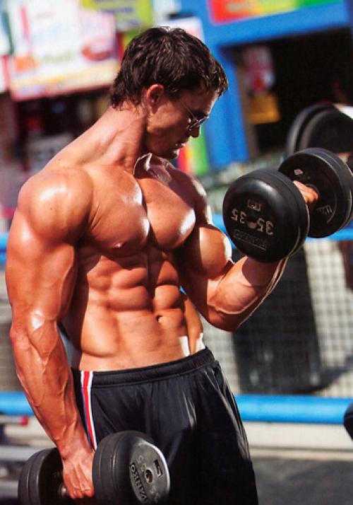 С чего начать занятия в тренажерном зале. Что нужно также включить в программу тренировок 02 С чего начать занятия в тренажерном зале. Что нужно также включить в программу тренировок 02