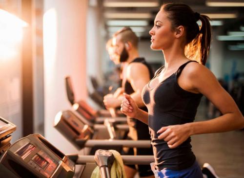 Тренировки в зале для девушек без тренера. Снижение веса и уменьшение жировой прослойки