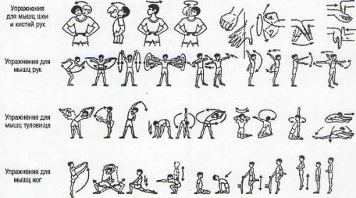 Программа тренировок в зале для девушек на месяц. Программа упражнений в тренажерном зале для девушек для похудения и накачки мышц